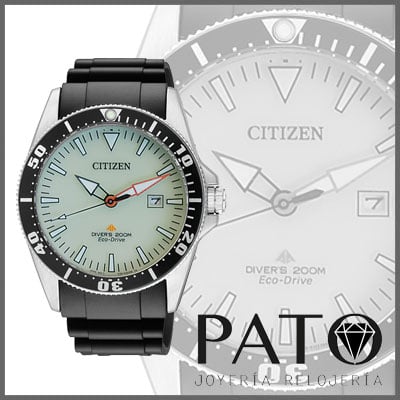 Citizen Watches - Citizen Watch BN0120-02W