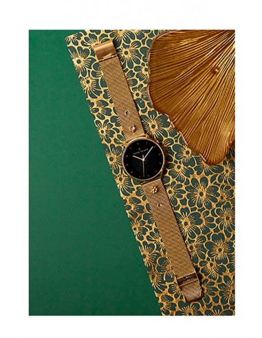 | CBTO003 | Reloj Thom Olson Nigth Dream Gold Stars CBTO003