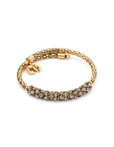 | CRWB0001GP-G-G | Armbänder Chrysalis « Curiosity Antique Crystal » CRWB0001GP-G-G