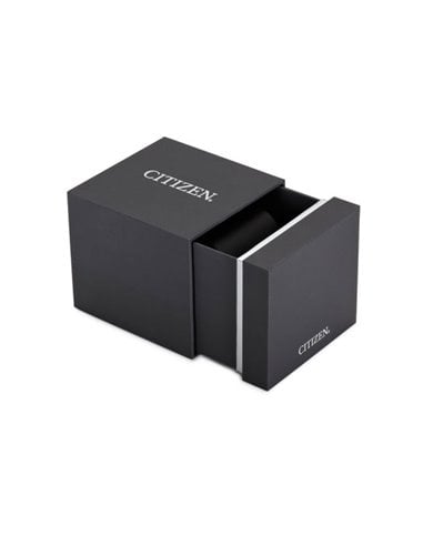| EW2214-52A | Montre Citizen « LADY » EW2214-52A