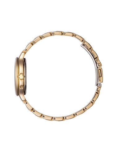 | EC1173-87D | Reloj Citizen « ENTERPRISE LADY » EC1173-87D