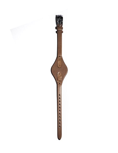 Correa fossil online