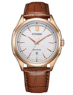 Montre AW1753-10A Citizen Eco-Drive OF CLASSIC COLLECTION