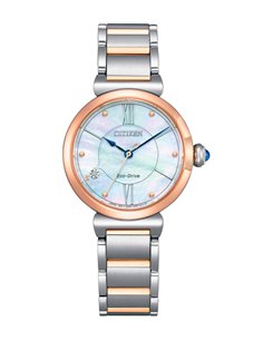Montre EM1074-82D Citizen Eco-Drive LADY