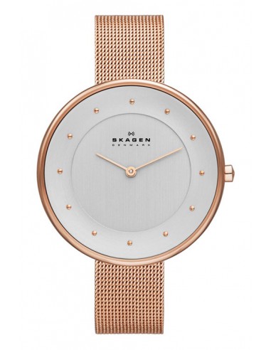 SKW2142 - Nuevo Reloj Skagen Vintage