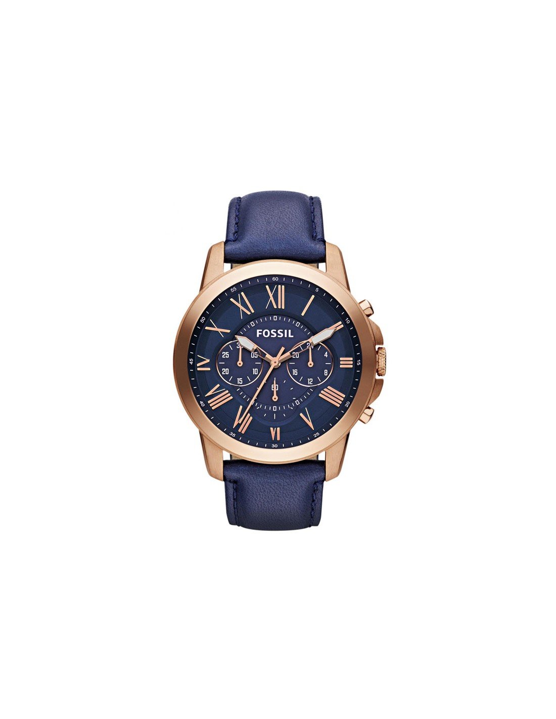 FS4835 Amazing Fossil Watch