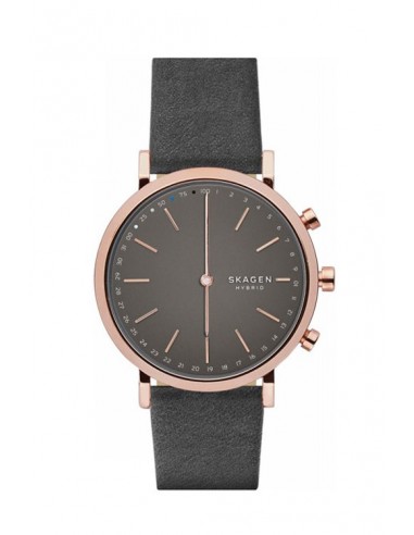 SKT1207 - Nuevo Reloj Skagen Hibrido SmartWatch