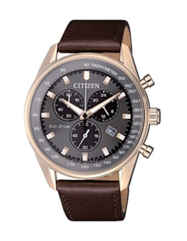 citizen watch sport