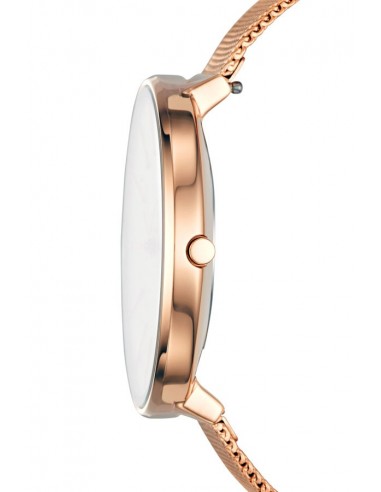 Damenuhr Skagen Karolina SKW2688