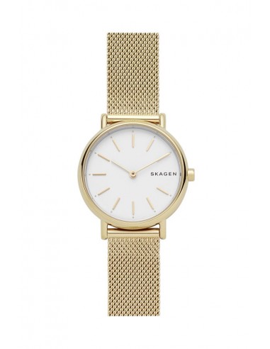 Relógio Skagen Signatur SKW2693