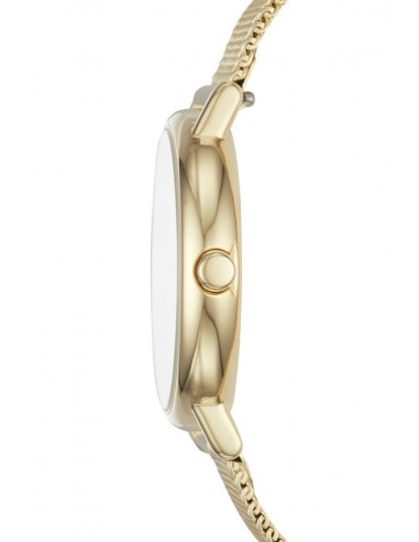 Relógio Skagen Signatur SKW2693