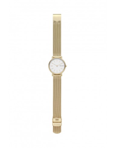 Relógio Skagen Signatur SKW2693