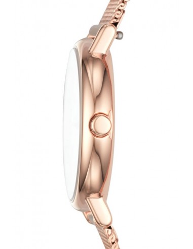 Skagen Watch Signatur SKW2694
