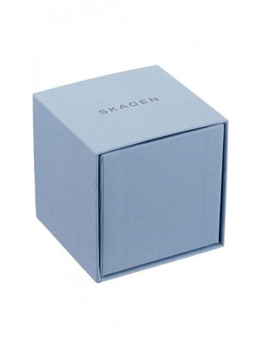 Relógio Skagen Signatur SKW2692