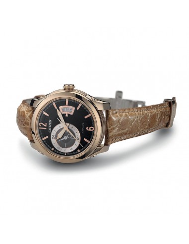 | NP3013-36E | Herrenuhr Citizen Automatischer Mechaniker NP3013-36E