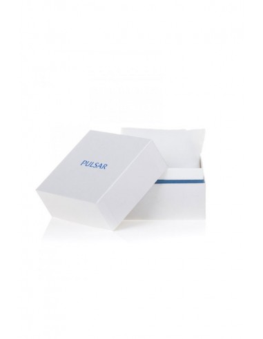 Reloj Pulsar - PZ4001X1 - Relojes Pulsar