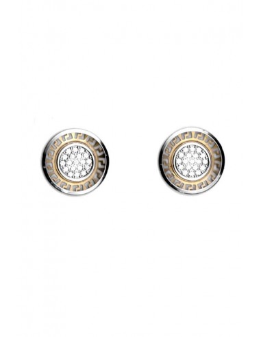 Boucles d'Oreilles Or 18 K 55715-P