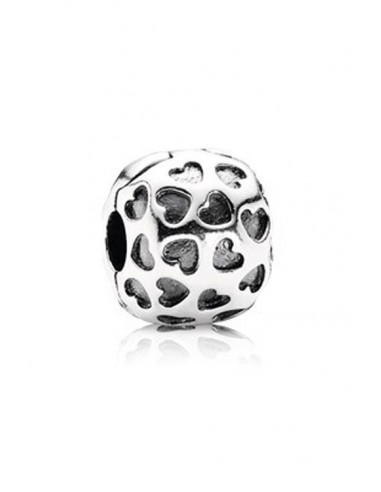 Charm Pandora 791037