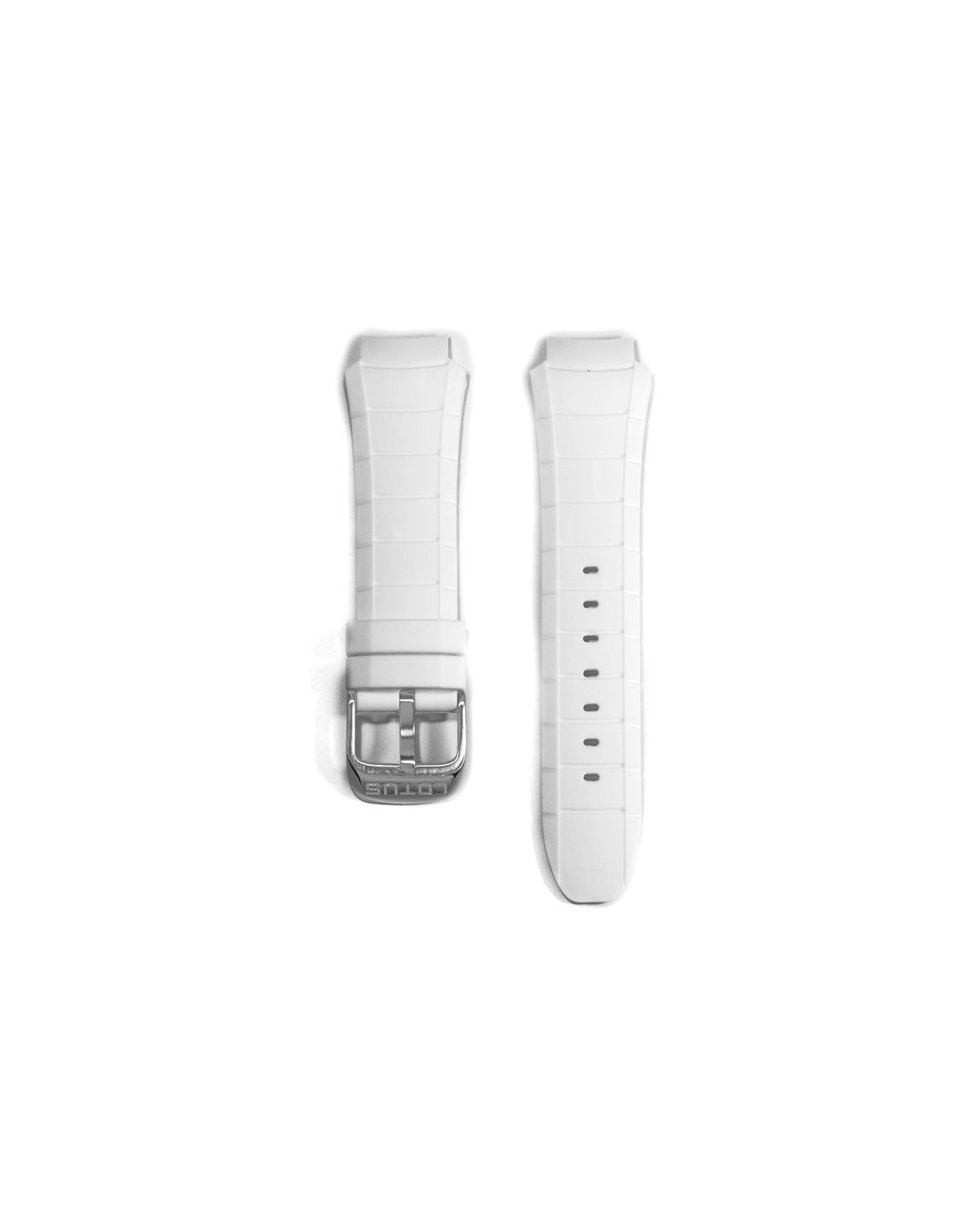 15701 Correa Lotus Blanca 15701