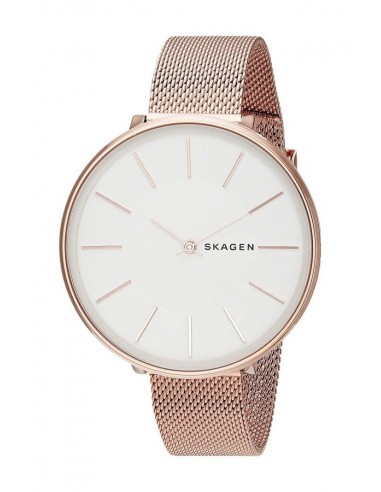 Damenuhr Skagen Karolina SKW2688