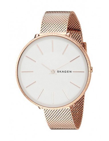 | SKW2726 | Reloj Skagen Karolina SKW2726