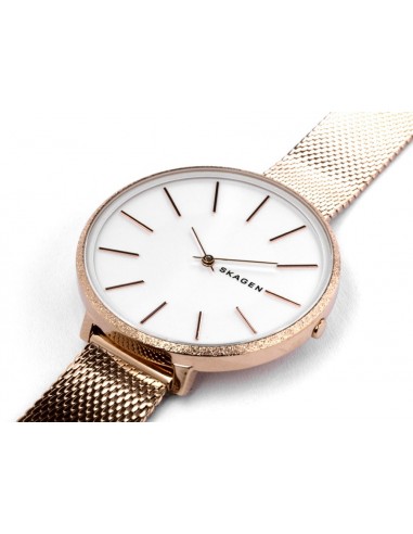 | SKW2726 | Damenuhr Skagen Karolina SKW2726
