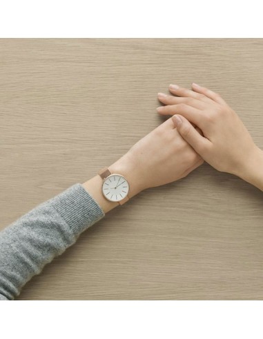 | SKW2726 | Damenuhr Skagen Karolina SKW2726
