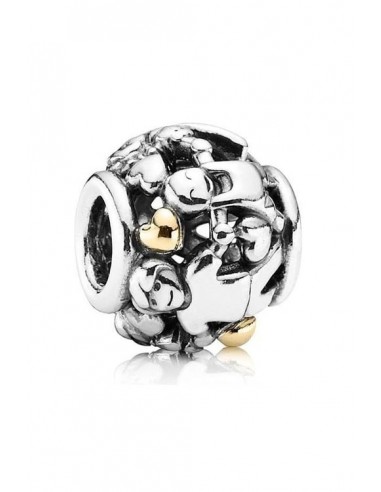 | 791040  | Pandora Charm 791040
