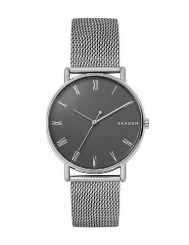 | SKW6428 | Reloj Skagen Signatur SKW6428