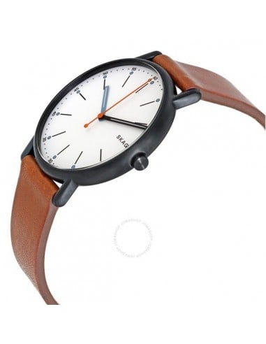 | SKW6374 | Reloj Skagen Signatur SKW6374