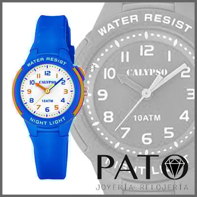 Calypso Watch K6069/3