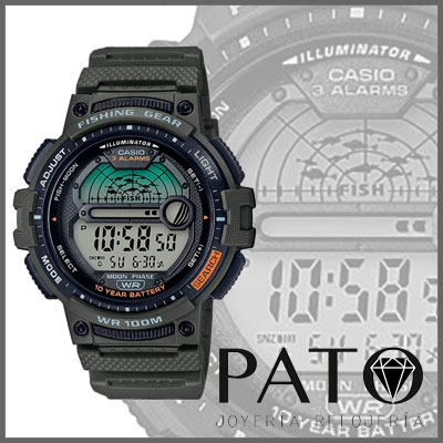 Casio Watch WS-1200H-3AVEF