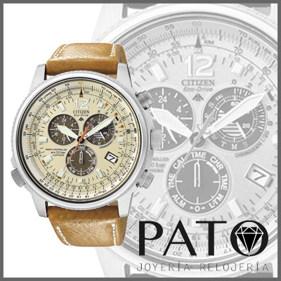 Citizen Watch AS4020-44B
