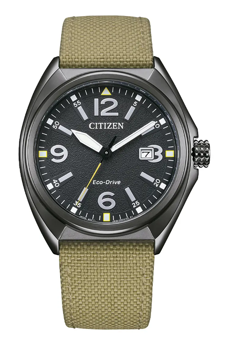 Citizen Beige Of Collection 2025