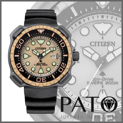 Montre Citizen BN0226-10P