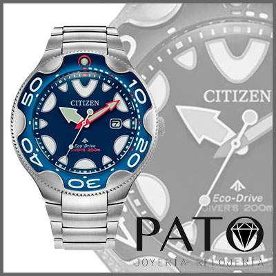 Montre Citizen BN0231-52L