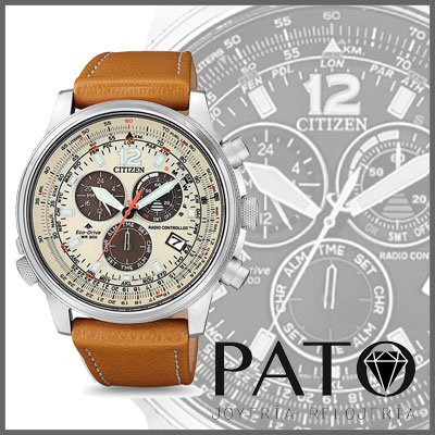 Herrenuhr Citizen CB5860-35X
