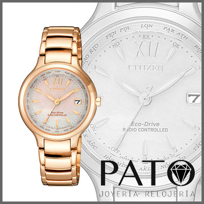 Citizen Watch EC1173-87D