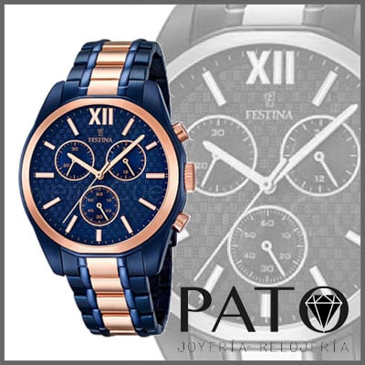 Festina Watch F16857/1