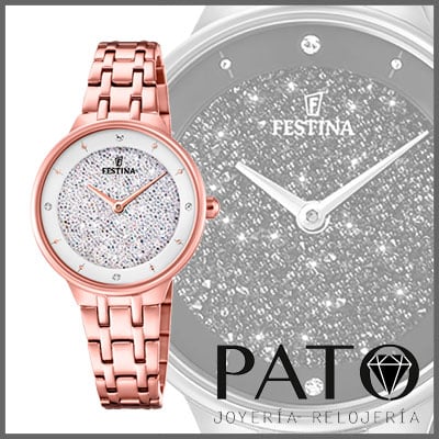 Festina Watch F20384/1