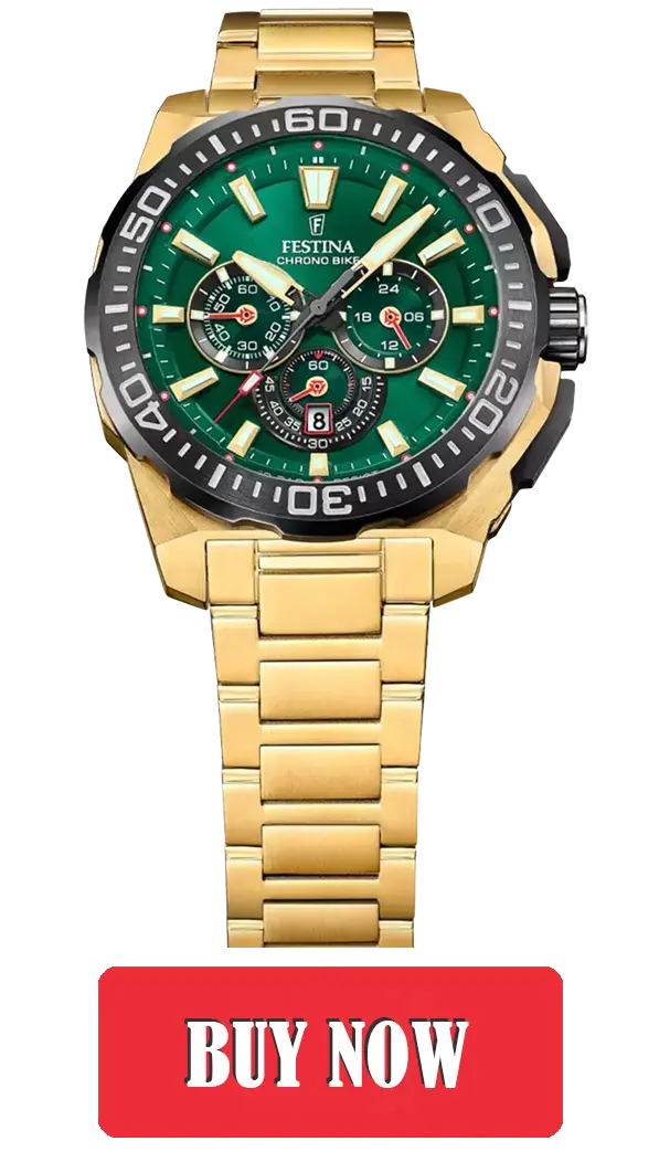 Festina F20727/2