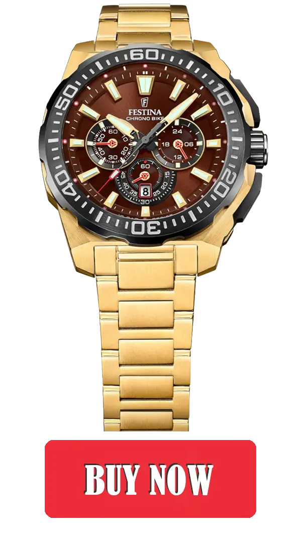 Festina F20727/3