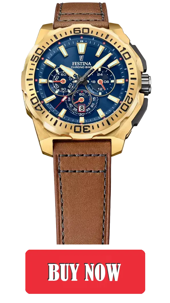 Festina F20728/1