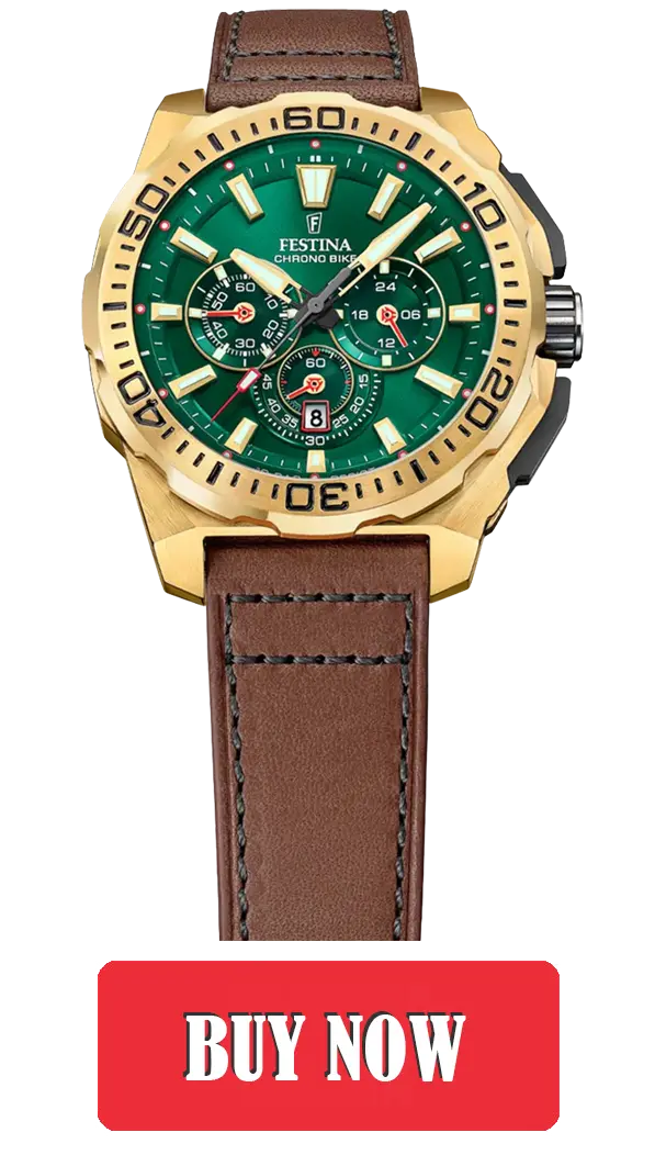 Festina F20728/2