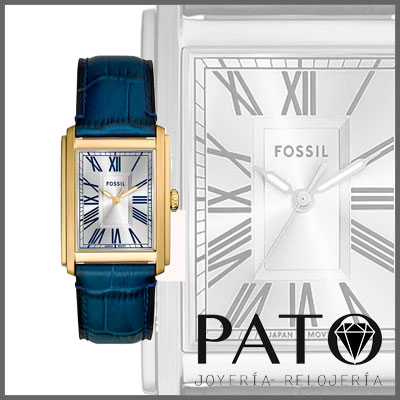 Montre Fossil FS6076