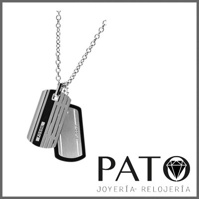 Dog Tag Stainless Steel Necklace - JF00494998 - Fossil