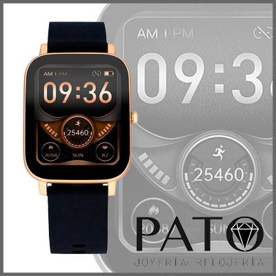 Radiant RAS10302
